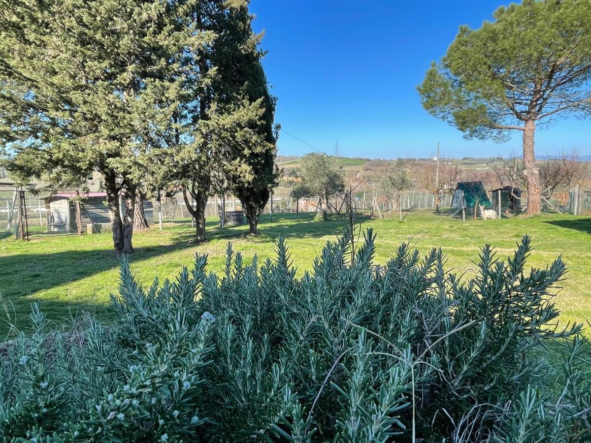 Agriturismo Con Cucina Il Favaio Paciano Exterior foto